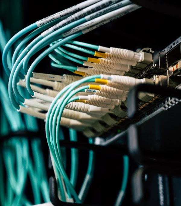 Close-up of network cables connected to a server, representing reliable and secure website hosting infrastructure for efficient online performance